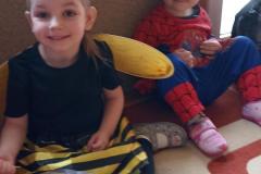 IMG_20260212_100046