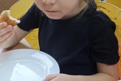 IMG_20260212_103037