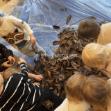 Słoneczka witają Jesień